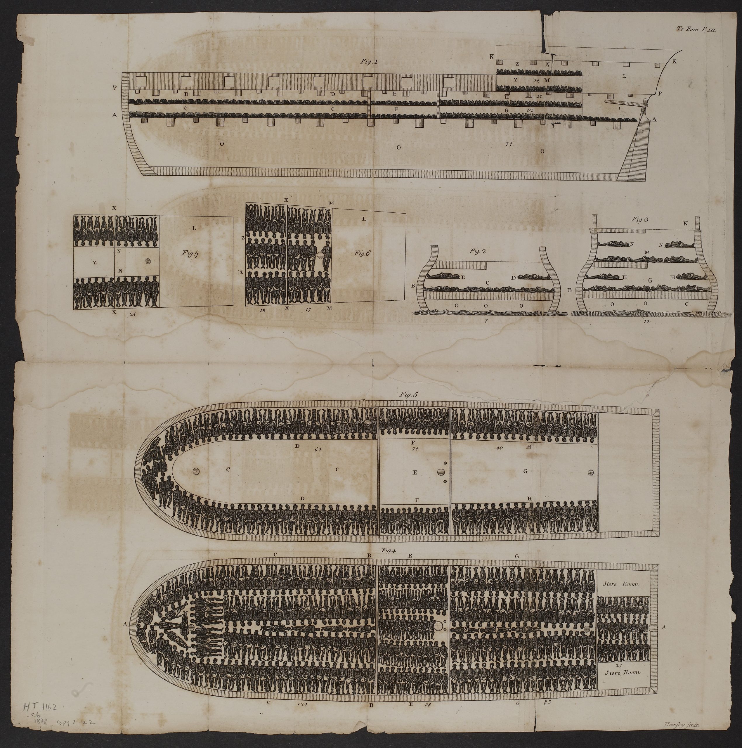 Slave Ship Diagram, 1808